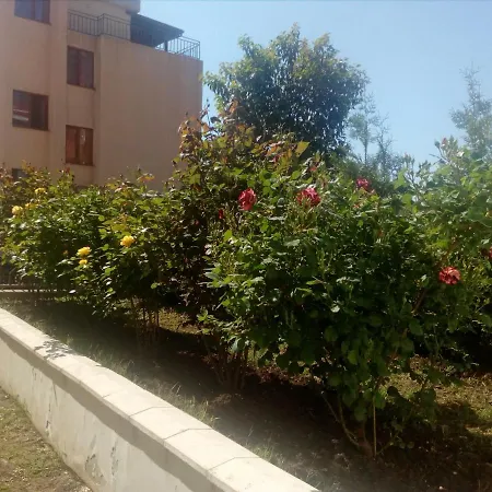 Shterevi Süzebolu