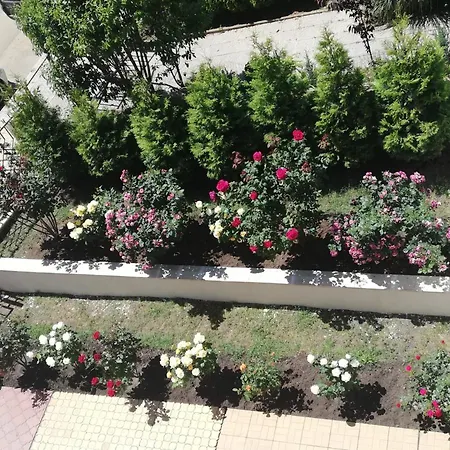 Shterevi Süzebolu