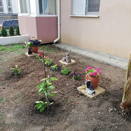 Shterevi Daire
