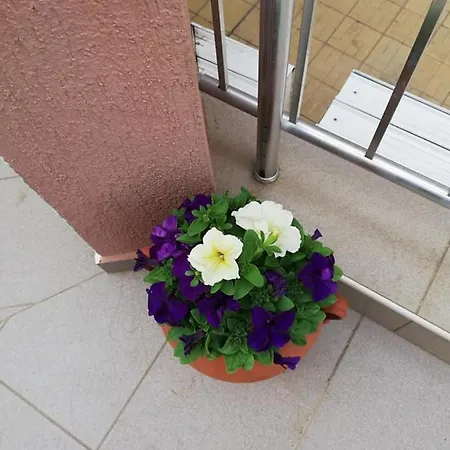 Apartament Shterevi Sozopol